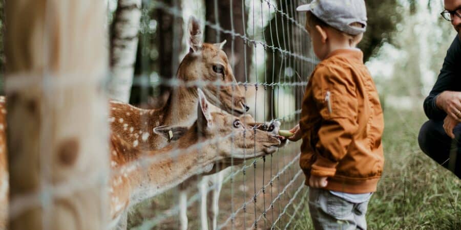 activités famille